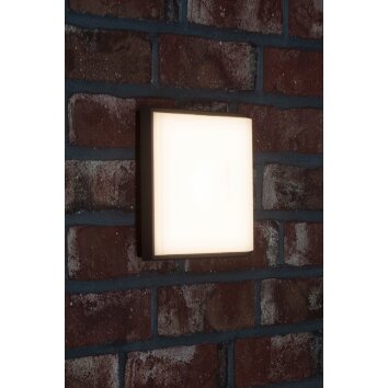 AEG Letan Square Buiten muurverlichting LED Antraciet, Wit, 1-licht