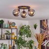 Gastor Plafondlamp, Kogellampje 25 cm Rookkleurig, 3-lichts