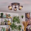 Gastor Plafondlamp, Kogellampje Chroom, Duidelijk, Rookkleurig, 3-lichts