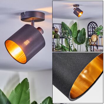 Alsen Wandlamp, Muurspot Zwart, 1-licht