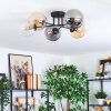 Gastor Plafondlamp, Kogellampje 62 cm Amber, Duidelijk, Rookkleurig, 6-lichts