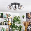 Koyoto Plafondlamp, Kogellampje Duidelijk, Rookkleurig, 3-lichts