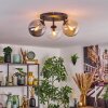 Gastor Plafondlamp, Kogellampje Amber, Chroom, Duidelijk, Rookkleurig, 3-lichts