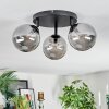 Chehalis Plafondlamp, Kogellampje Rookkleurig, 3-lichts