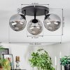 Chehalis Plafondlamp, Kogellampje Rookkleurig, 3-lichts