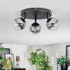 Chehalis Plafondlamp, Kogellampje Duidelijk, Rookkleurig, 3-lichts
