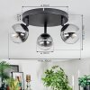 Chehalis Plafondlamp, Kogellampje Duidelijk, Rookkleurig, 3-lichts