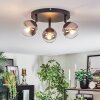 Chehalis Plafondlamp, Kogellampje Duidelijk, Rookkleurig, 3-lichts