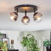 Chehalis Plafondlamp, Kogellampje Duidelijk, Rookkleurig, 3-lichts