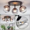 Chehalis Plafondlamp, Kogellampje Duidelijk, Rookkleurig, 3-lichts