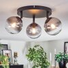Chehalis Plafondlamp, Kogellampje Duidelijk, Rookkleurig, 3-lichts