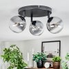 Chehalis Plafondlamp, Kogellampje Duidelijk, Rookkleurig, 3-lichts