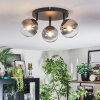 Chehalis Plafondlamp, Kogellampje Duidelijk, Rookkleurig, 3-lichts