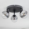 Chehalis Plafondlamp, Kogellampje Duidelijk, Rookkleurig, 3-lichts