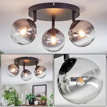 Chehalis Plafondlamp, Kogellampje Duidelijk, Rookkleurig, 3-lichts