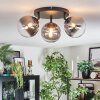 Chehalis Plafondlamp, Kogellampje Duidelijk, Rookkleurig, 3-lichts