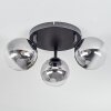 Chehalis Plafondlamp, Kogellampje Duidelijk, Rookkleurig, 3-lichts