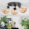 Chehalis Plafondlamp, Kogellampje Amber, 3-lichts