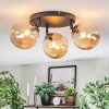 Chehalis Plafondlamp, Kogellampje Amber, 3-lichts