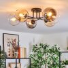 Koyoto Plafondlamp, Kogellampje Amber, Duidelijk, Rookkleurig, 6-lichts
