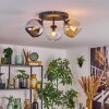 Koyoto Plafondlamp, Kogellampje Amber, Chroom, Duidelijk, Rookkleurig, 3-lichts
