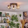 Koyoto Plafondlamp, Kogellampje Amber, Duidelijk, Rookkleurig, 3-lichts