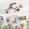 Koyoto Plafondlamp, Kogellampje Goud, Zwart, 8-lichts