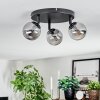 Chehalis Plafondlamp, Kogellampje Rookkleurig, 3-lichts