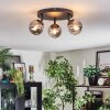 Chehalis Plafondlamp, Kogellampje Rookkleurig, 3-lichts