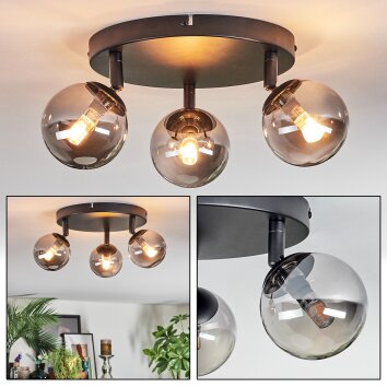 Chehalis Plafondlamp, Kogellampje Rookkleurig, 3-lichts