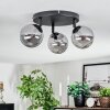 Chehalis Plafondlamp, Kogellampje Rookkleurig, 3-lichts