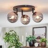 Chehalis Plafondlamp, Kogellampje Rookkleurig, 3-lichts
