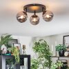 Chehalis Plafondlamp, Kogellampje Rookkleurig, 3-lichts