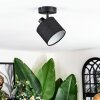 Bassagoda Plafondlamp, Plafondspot Zwart, 1-licht