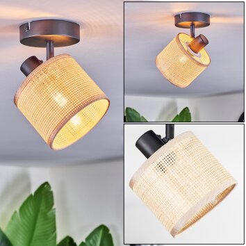 Sabadim Plafondlamp, Plafondspot Zwart, 1-licht