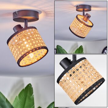 Ramila Plafondlamp, Plafondspot Zwart, 1-licht