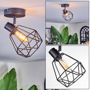 Yaak Plafondlamp, Plafondspot Zwart, 1-licht