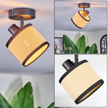 Chellas Plafondlamp, Plafondspot Zwart, 1-licht