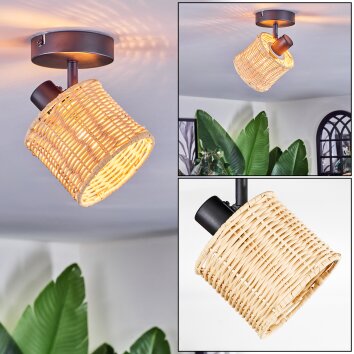 Cavaca Plafondlamp, Plafondspot Zwart, 1-licht