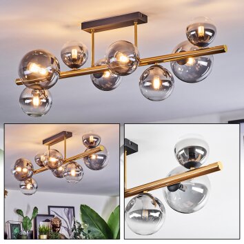 Chehalis Plafondlamp, Kogellampje Goud, Zwart, 8-lichts