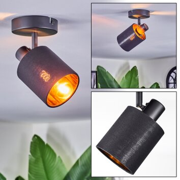 Fallhagen Plafondlamp, Plafondspot Zwart, 1-licht