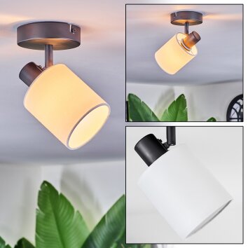 Fallhagen Plafondlamp, Plafondspot Zwart, 1-licht