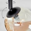 Chehalis Plafondlamp, Kogellampje Amber, Duidelijk, 3-lichts