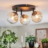 Chehalis Plafondlamp, Kogellampje Amber, Duidelijk, 3-lichts