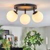 Chehalis Plafondlamp, Kogellampje Wit, 3-lichts