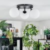 Chehalis Plafondlamp, Kogellampje Wit, 3-lichts