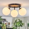 Chehalis Plafondlamp, Kogellampje Wit, 3-lichts