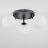 Chehalis Plafondlamp, Kogellampje Wit, 3-lichts