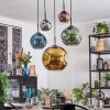Ripoll Hanglamp, Kogellampje, Hanglamp Blauw, Chroom, Goud, Groen, Koperkleurig, Rookkleurig, 5-lichts