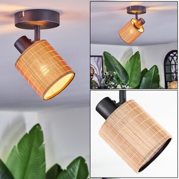 Kinnared Plafondlamp, Plafondspot Zwart, 1-licht